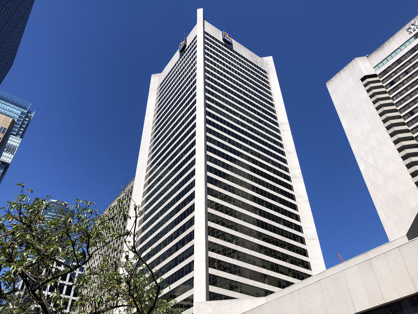 RBC Dominion Securities Inc.